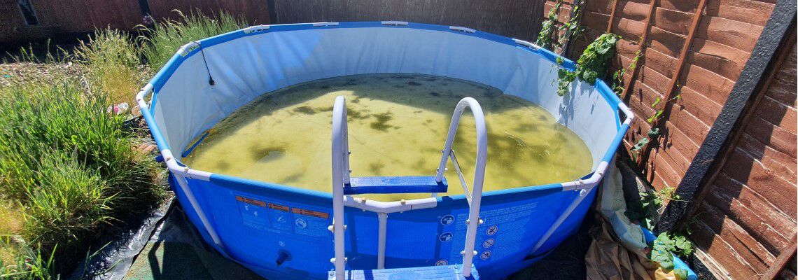 [paste advice page name here]